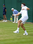 David Ferrer