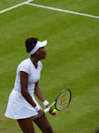 Venus Williams
