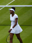 Venus Williams