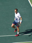 Andy Murray