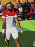 Florin Mergea