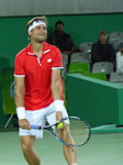 David Ferrer