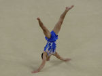 Max Whitlock
