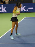 Su-Wei Hsieh