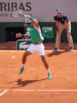 Fernando Verdasco