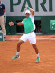 Fernando Verdasco
