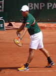 Kei Nishikori
