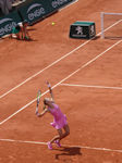 Petra Martic