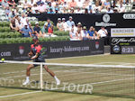 Mate Pavic
