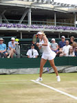 Lesia Tsurenko