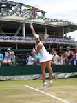 Lesia Tsurenko