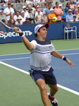 Carlos Berlocq