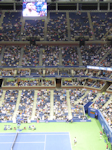 Jo-Wilfried Tsonga