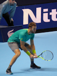 Michael Venus