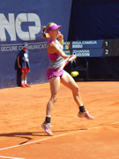 Johanna Larsson