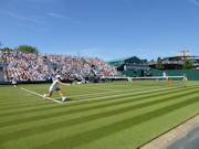 Harriet Dart
