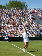 Harriet Dart