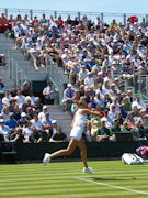 Karolina Pliskova
