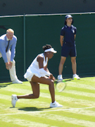 Venus Williams