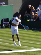 Gael Monfils