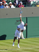 Gael Monfils