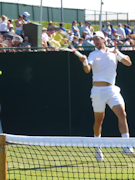 Thanasi Kokkinakis