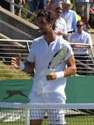 Thanasi Kokkinakis