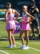 Irina-Camelia Begu, Mihaela Buzarnescu