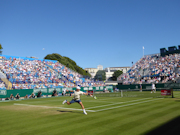 Mischa Zverev