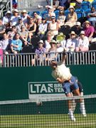 Mischa Zverev