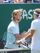 Andreas Seppi, Denis Istomin