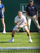 David Ferrer