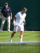 David Ferrer