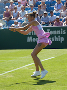 Karolina Pliskova