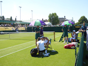 Elena-Gabriela Ruse, Arina Rodionova