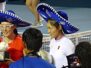 Saisai Zheng, Yafan Wang