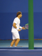 David Ferrer