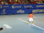 David Ferrer