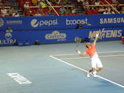 David Ferrer