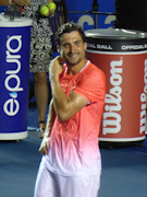 David Ferrer