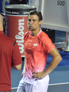 David Ferrer