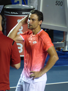David Ferrer
