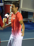 David Ferrer