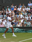 Jo-Wilfried Tsonga
