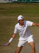 Tommy Haas