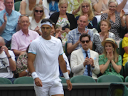 Robert Farah