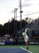 Michael Venus