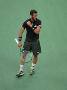 Damir Dzumhur