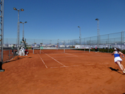 Petra Martic, Tamara Zidansek